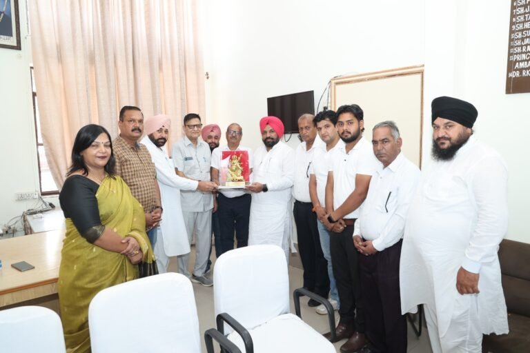 WhatsApp Image 2025-02-15 at 12.25.52 PM